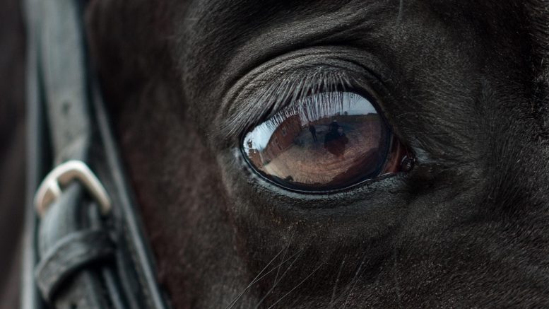 lastest-post-main-image