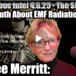 Dangerous Dames Show w Dr Lee Merrit (The Medical Rebel) & Courtenay Turner 2025